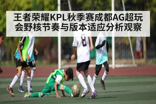 王者荣耀KPL秋季赛成都AG超玩会野核节奏与版本适应分析观察